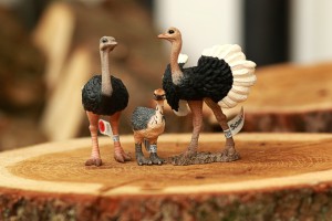 Schleich Familie